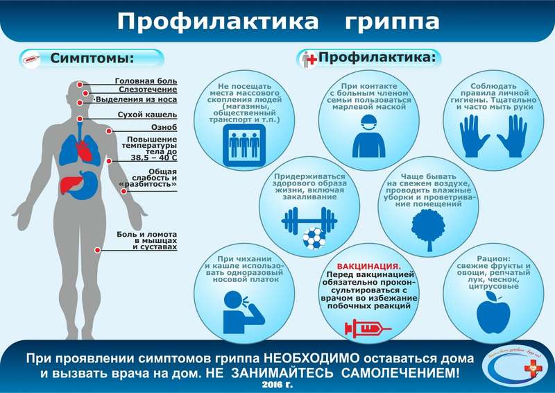ОРВИ: клинические рекомендации РФ у взрослых в 2023 году