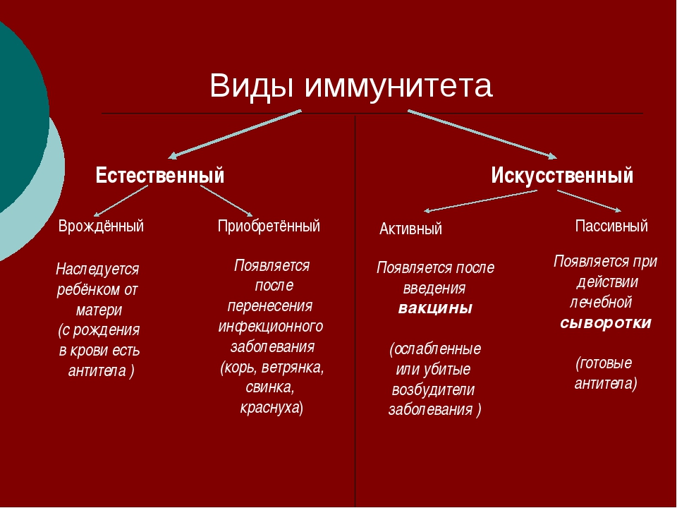 Разновидности иммунитета схема обж